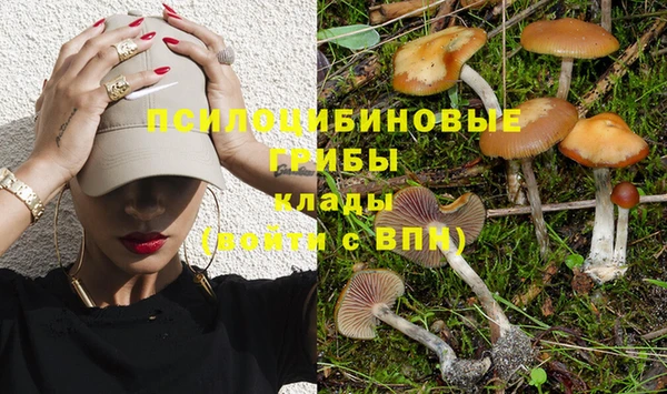 шишки Бронницы