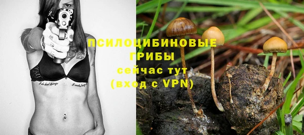 альфа пвп Бородино