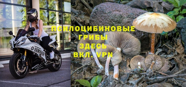 шишки Бронницы