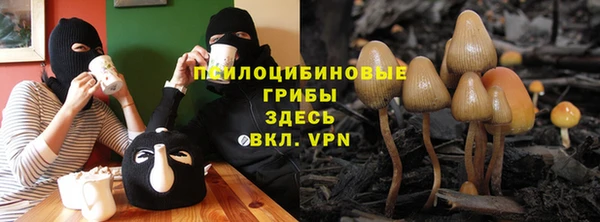 ПСИЛОЦИБИНОВЫЕ ГРИБЫ Бугульма